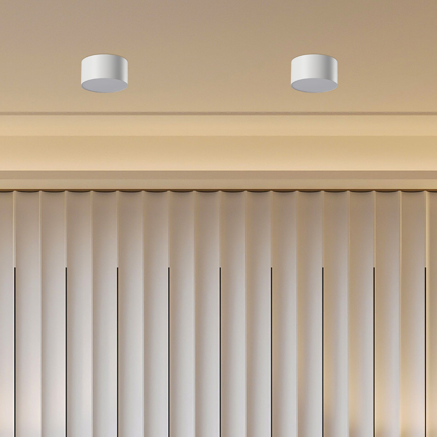 Plafonjera LED Kessler ML-D001-10W Bijela