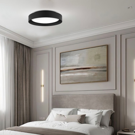 Plafonjera LED Dayana ML-210929201 16.5W Crna