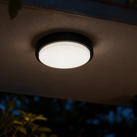 Plafonjera LED Holden CL ML09G-190Y crna