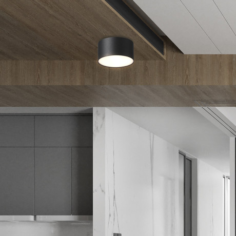 Plafonjera LED Kessler ML-D001-10W Crna